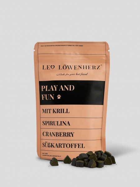 Leo Löwenherz - Play and Fun
